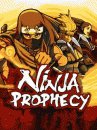 game pic for Ninja Prophecy